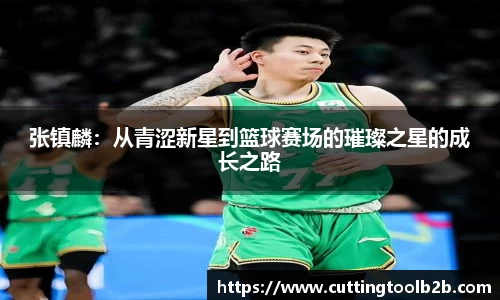 k1体育官方网站