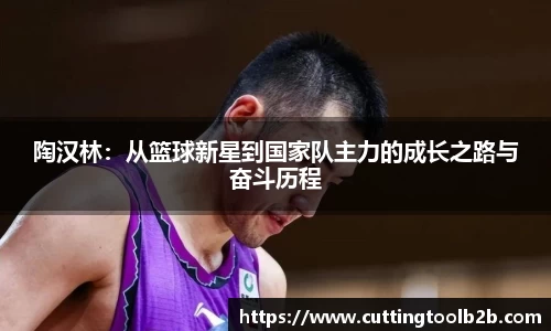 陶汉林：从篮球新星到国家队主力的成长之路与奋斗历程
