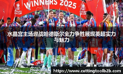 水晶宫主场迎战哈德斯尔全力争胜展现英超实力与魅力